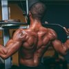 Strength & Muscle
